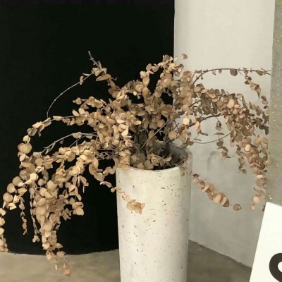 兽设星空场景创作兽圈社群